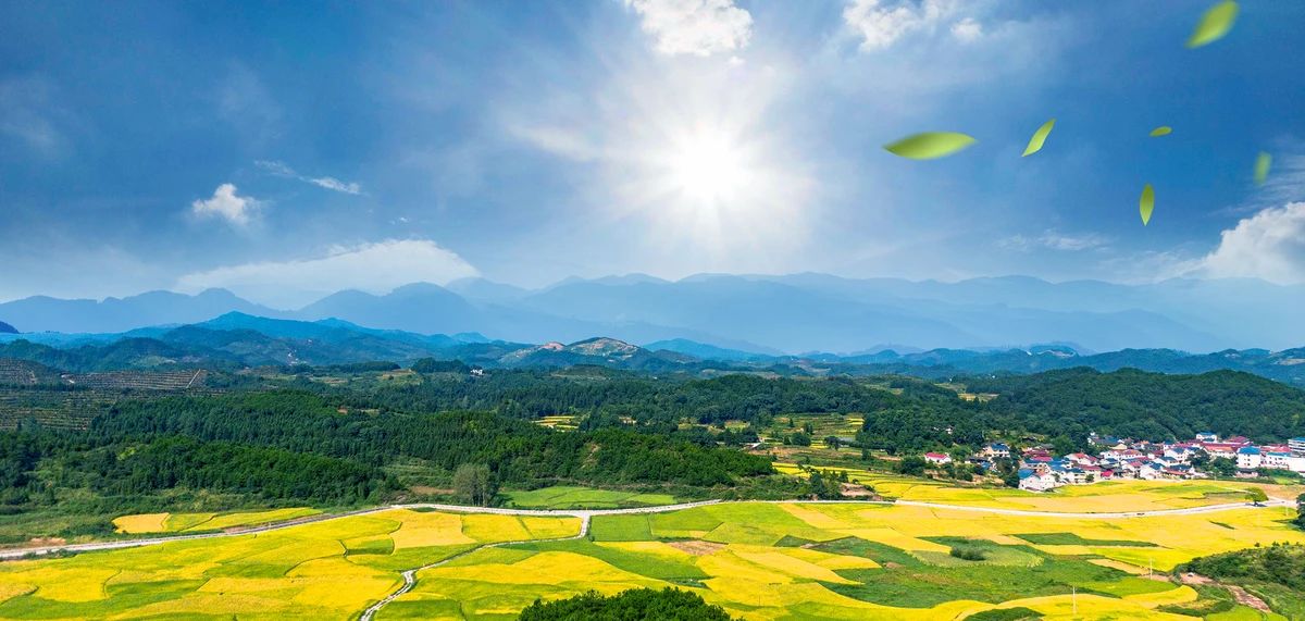 d75761f6d8ac85cb8c6ffef1ed9745fb.jpg d75761f6d8ac85cb8c6ffef1ed9745fb.jpg