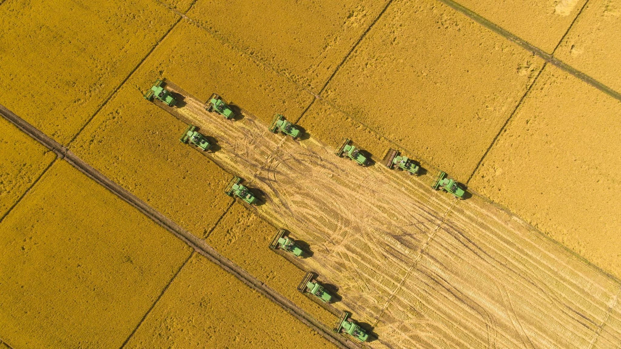 4b228cbc573344d5d94487205a9effd2.jpg 4b228cbc573344d5d94487205a9effd2.jpg