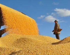 颗粒归仓的背后，有洁能保的强力护航