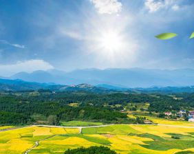 天厚洁能保柴油净化器：乡村振兴路上的绿色护航者